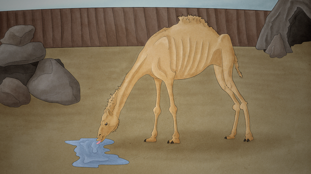 Illustration for article titled Powerful: This Is What The World Would Look Like If We Took All The Money We Spend Feeding Camels And Spent It Feeding Giraffes